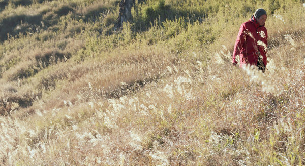 ▲《高山遊民》的主角阿共曾走過生命低谷，在山中重拾人生的出口。（圖／海鵬提供）