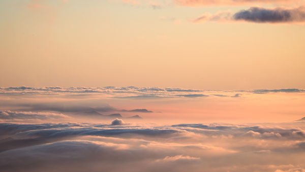 ▲《高山遊民》的主角阿共曾走過生命低谷，在山中重拾人生的出口。（圖／海鵬提供）