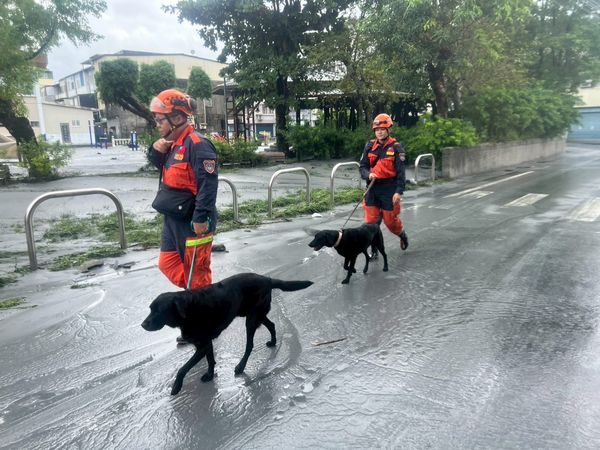 ▲▼新北特搜隊赴花蓮救災。（圖／新北特搜隊提供）
