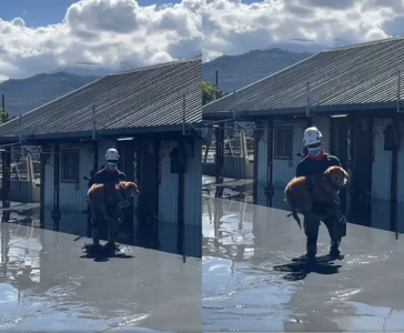 淹水民宅救出3人　特搜人員環抱黃金獵犬涉泥水網感動