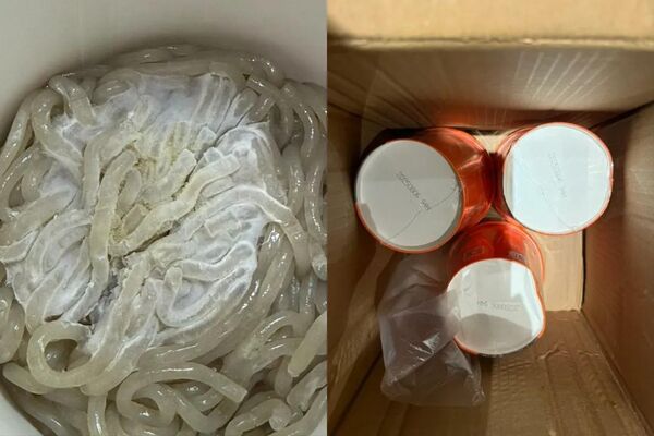 ▲▼汪小菲「麻六記」酸辣粉發霉。（圖／翻攝藍鯨新聞）