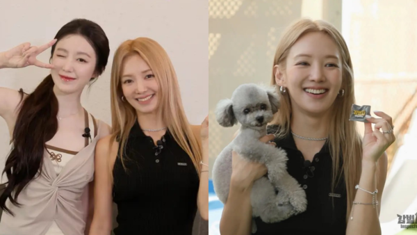 ▲▼少女時代真的要來了！孝淵飛台灣支持舒華　11月現身專場活動。（圖／翻攝自鑑定師YouTube）