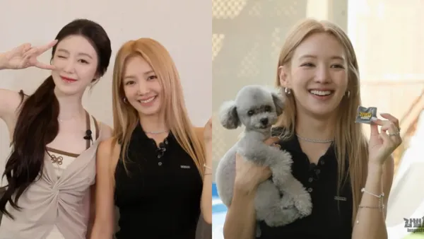 ▲▼少女時代真的要來了！孝淵飛台灣支持舒華　11月現身專場活動。（圖／翻攝自鑑定師YouTube）