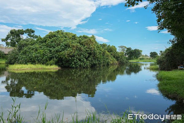 ▲新北市樹林區「鹿角溪人工濕地」,鹿角溪人工濕地。（圖／記者彭懷玉攝）