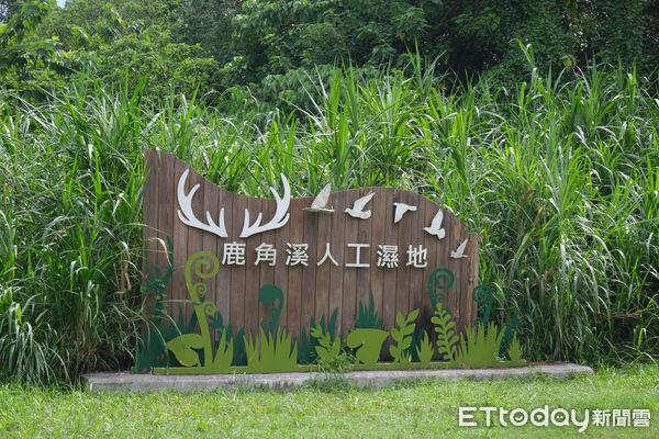 ▲新北市樹林區「鹿角溪人工濕地」,鹿角溪人工濕地。（圖／記者彭懷玉攝）