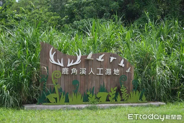 ▲新北市樹林區「鹿角溪人工濕地」,鹿角溪人工濕地。（圖／記者彭懷玉攝）