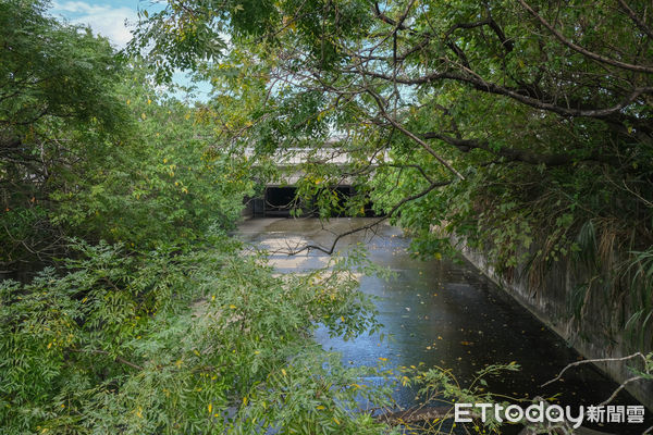 ▲新北市樹林區「鹿角溪人工濕地」,鹿角溪人工濕地。（圖／記者彭懷玉攝）