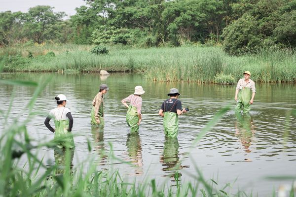 ▲2025新北濕地藝術季。（圖／新北市高灘處提供）