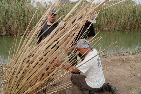 ▲2025新北濕地藝術季。（圖／新北市高灘處提供）