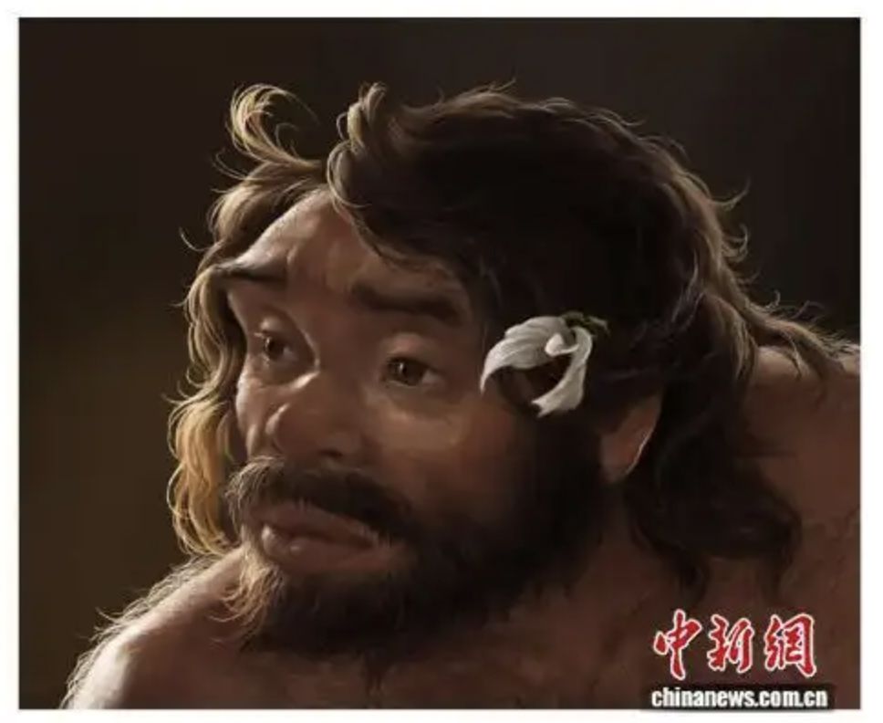 ▲被认为是「龙人」分支的郧县人头像复原图。 （图/翻摄中新网）