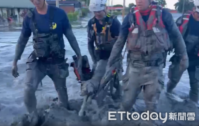 高雄特搜挖40分鐘抬出泥巴狗 好消息傳來「掃晶片找到主人」