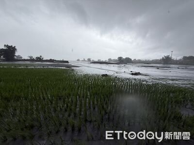 災情慘重！光復鄉全品項農產可獲現金補助　延長受理至10 ／29