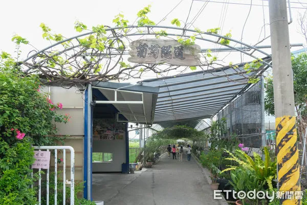 ▲路葡萄隧道休閒農場,路葡萄隧道。（圖／記者彭懷玉攝）