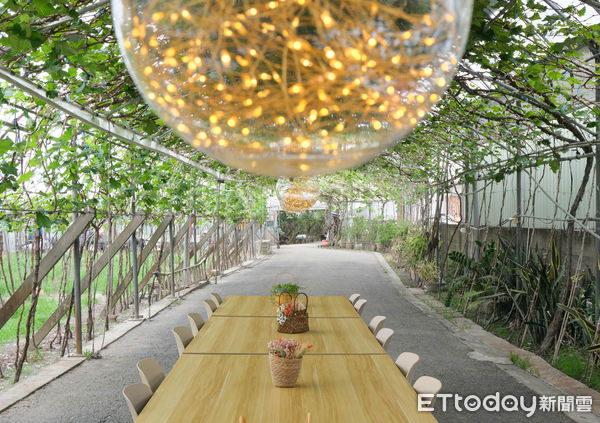▲路葡萄隧道休閒農場,路葡萄隧道。（圖／記者彭懷玉攝）