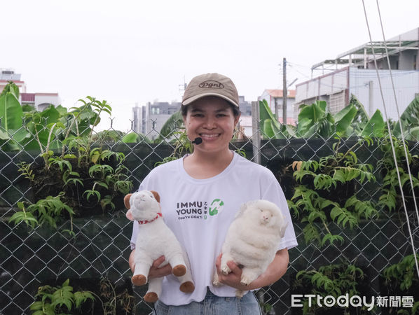 ▲乙木羊牧場共飼養200多頭泌乳羊，為阿爾拜因(Alpine)及撒能(Saanen)兩個品種。（圖／記者彭懷玉攝）