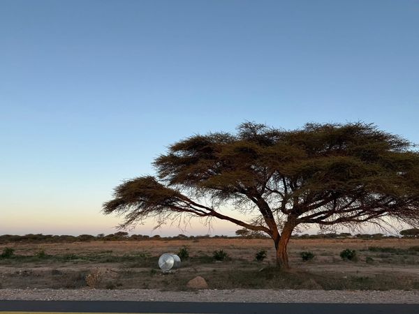 ▲台大醫院雲林分院攜手雲林消防局遠赴索馬利蘭。         （圖／翻攝臺大醫院雲林分院臉書）