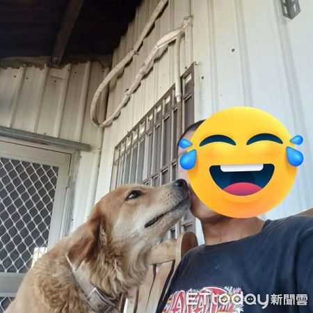 獲救狗狗米樂。（圖／飼主賴安古提供）