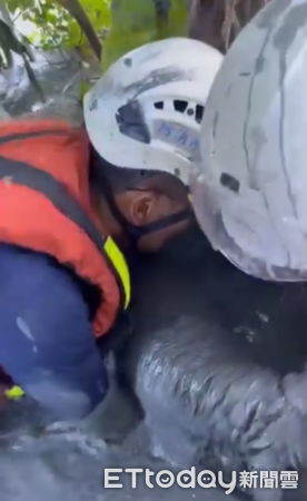 ▲高雄特搜救援深陷泥巴狗狗。（圖／翻攝自Theads@kaohsiung_city）