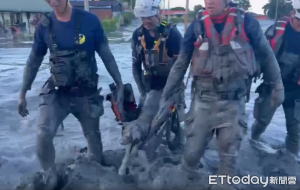 ▲高雄特搜救援深陷泥巴狗狗。（圖／翻攝自Theads@kaohsiung_city）