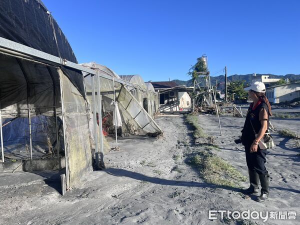 ▲▼農業處會同花蓮區農業改良場及農糧署東區分署進行現勘，爭取全品項救助。（圖／花蓮縣政府提供，下同）