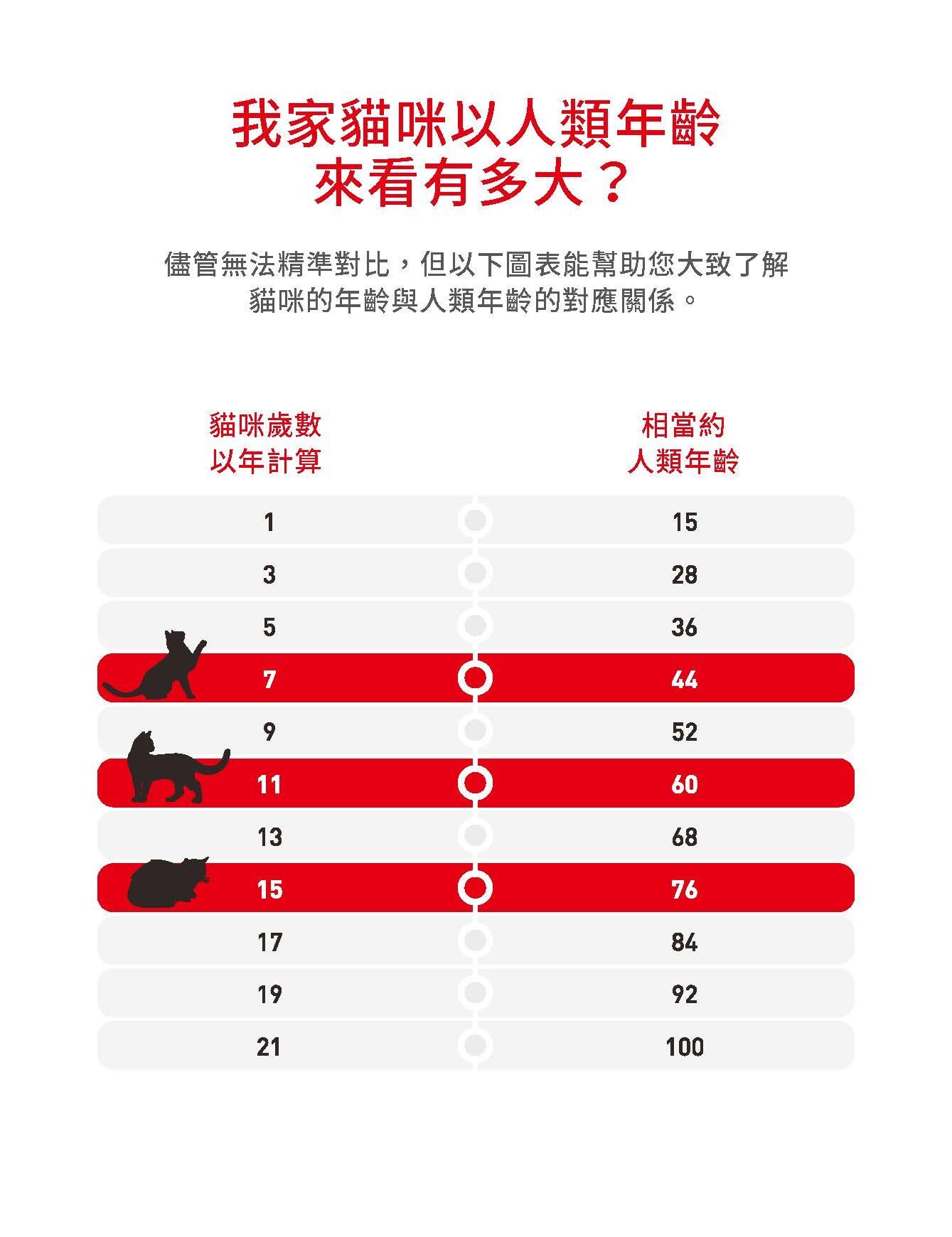 ▲▼       老貓      。（圖／業者）