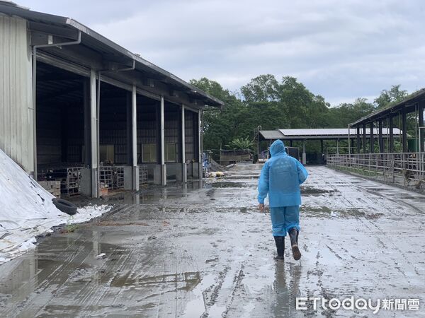 ▲▼受馬太鞍堰塞湖洪災影響，蛋雞場與養禽場全區受淤積影響，損失持續清查中，整體初估經濟損失約新台幣1600萬。（圖／花蓮縣政府提供，下同）