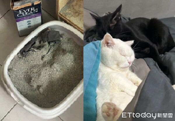 ▲。（圖／Threads@weijay0705提供，請勿隨意翻拍，以免侵權。）