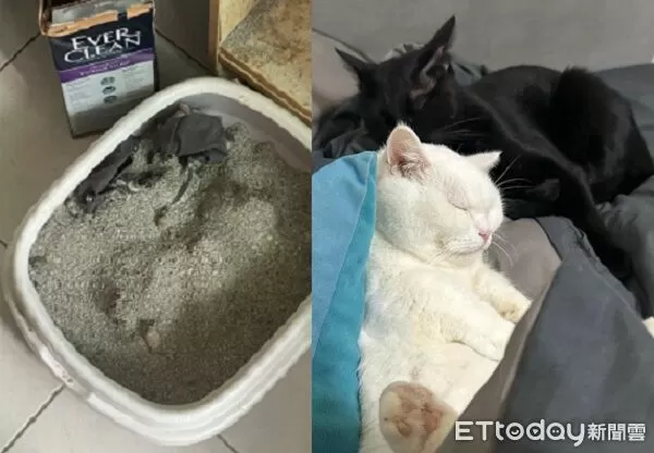 ▲。（圖／Threads@weijay0705提供，請勿隨意翻拍，以免侵權。）