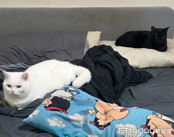 ▲。（圖／Threads@weijay0705提供，請勿隨意翻拍，以免侵權。）