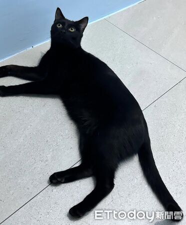 ▲。（圖／Threads@weijay0705提供，請勿隨意翻拍，以免侵權。）