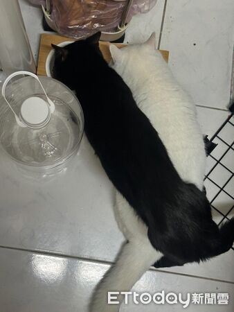 ▲。（圖／Threads@weijay0705提供，請勿隨意翻拍，以免侵權。）