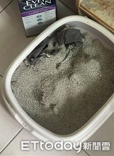 ▲。（圖／Threads@weijay0705提供，請勿隨意翻拍，以免侵權。）