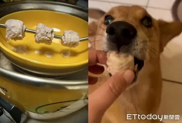 ▲。（圖／有點毛毛的／陳翊仟提供）