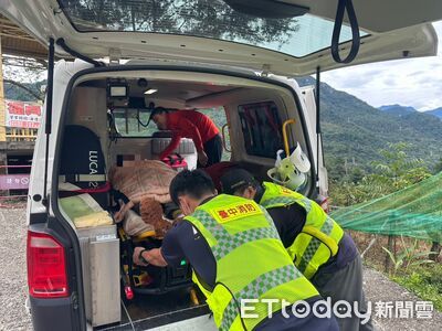 登谷關第八雄阿冷山遭虎頭蜂咬胸　46歲男呼吸困難送醫搶救