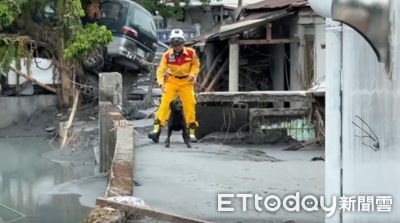 搜救犬咪娜救災跌進泥坑!網不捨:罐罐加好加滿 現況曝光