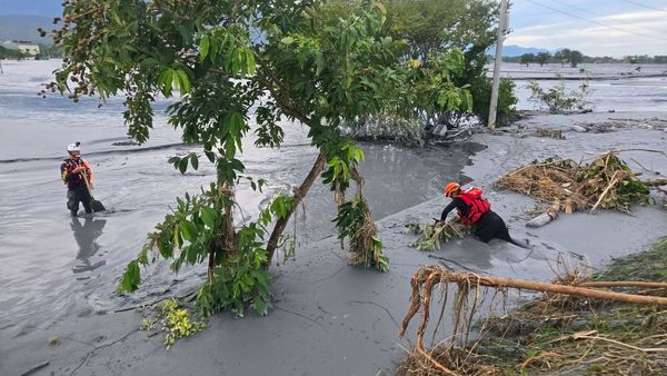 ▲▼新北特搜隊至花蓮縣協助災後修復。（圖／新北特搜隊提供）