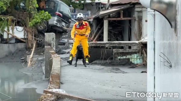 ▲▼搜救犬咪娜。（圖／記者許宥孺翻攝）