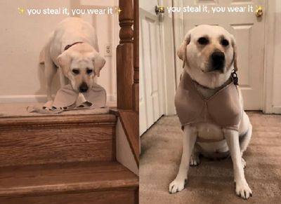 拉拉偷胸罩被媽抓包 處罰「穿贓物示眾」眼神放空毫無悔意