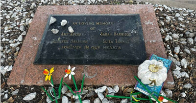 34年懸案破了!德州優格店「4少女慘死」 DNA揪出冷血殺手