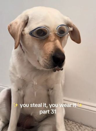 ▲。（圖／翻攝自TikTok／@whitelabsadie）