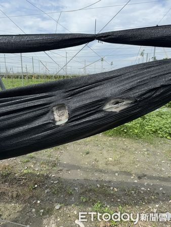 ▲苦瓜網室疑遭不明人士惡意縱火。（圖／記者陳崑福翻攝）