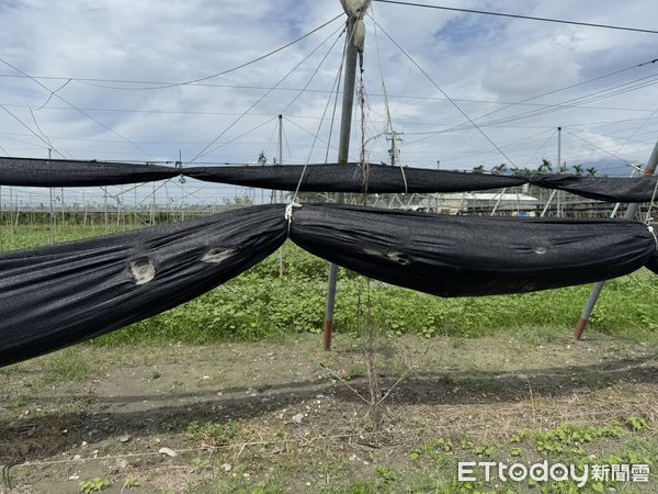 ▲苦瓜網室疑遭不明人士惡意縱火。（圖／記者陳崑福翻攝）