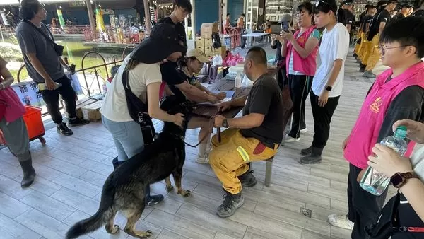 ▲▼花蓮災區狗狗義診。（圖／花蓮縣政府）