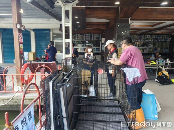 ▲▼花蓮縣光復鄉因天災重創,關注災區犬貓健康風險,展開犬貓義診及緊急照護服務。(圖/花蓮縣政府提供資料照片,下同)