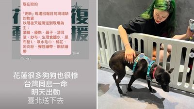 花蓮很多狗狗也很慘！婊姐看公告「秒採買缺的東西」：直接驅車送下去