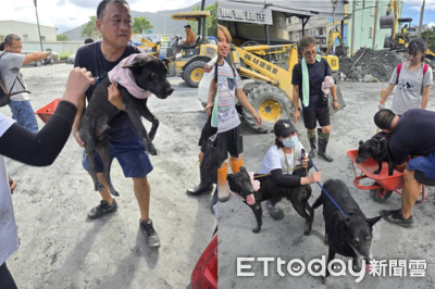 劉阿嬤愛犬堅守家門帶不走　「眼蓋阿嬤衣服」才願意撤離