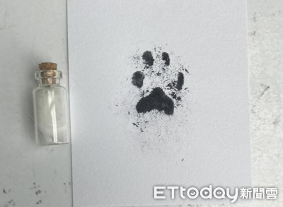 花蓮寵物禮儀公司助無償善終　志工接力送罹難毛孩最後一程