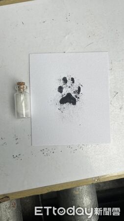 寵物禮儀公司協助善終。（圖／天堂寵物禮儀-花蓮提供）