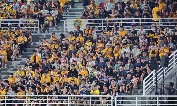 ▲中信兄弟岳政華、王威晨、羅戈、許基宏。（圖／中信兄弟提供）