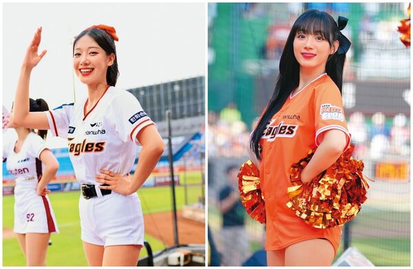 經紀開天窗／獨家！老闆身亡沒人管　河智媛難續約樂天恐離台